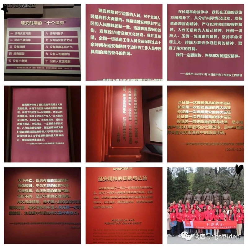 草莓APP下载官方2
